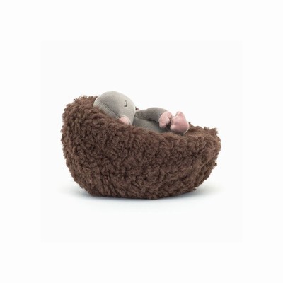 Jellycat Hibernating Mole USA | 76583DFBW